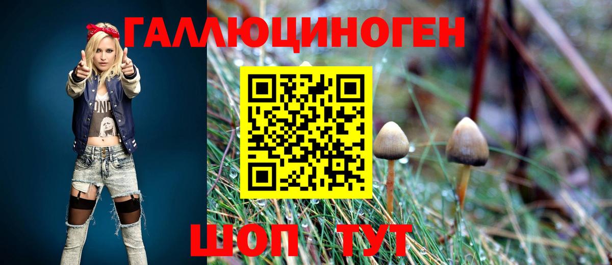 Псилоцибиновые грибы мицелий  купить наркоту  Буйнакск  Вход с VPN  Галлюциногенные грибы MAGIC MUSHROOMS 