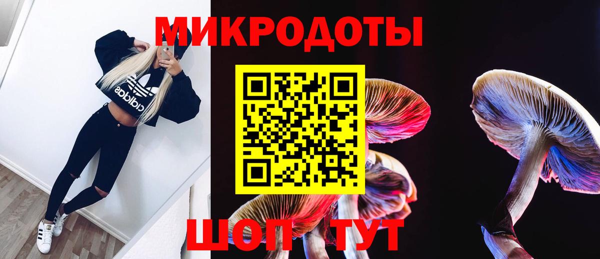 Псилоцибиновые грибы Magic Shrooms Буйнакск