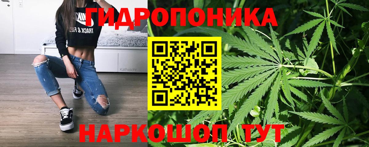 Бошки марихуана MAZAR  МАРИХУАНА SATIVA & INDICA  Буйнакск  Марихуана MAZAR  Каннабис семена  Вход с VPN 